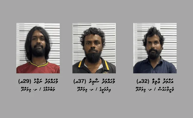 މަސްތުވާތަކެތީގެ ވިޔަފާރިކުރާކަމުގެ ތުހުމަތުގައި ށ.މިލަންދޫއިން ތިން މީހަކު ހައްޔަރުކޮށްފި