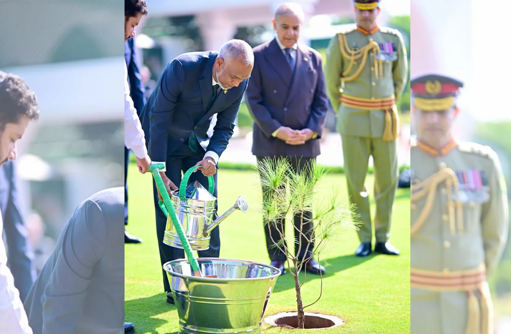 ޕާކިސްތާންގެ ބޮޑު ވަޒީރުގެ ގެކޮޅުގައި ރައީސް ގަހެއް އިންދަވައިފި