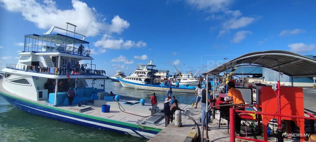 ފަސް ސަރަހައްދަކުން، އެސްޓީއޯ ރޭޓުން ތެއޮ ވިއްކަން ފަށައިފި