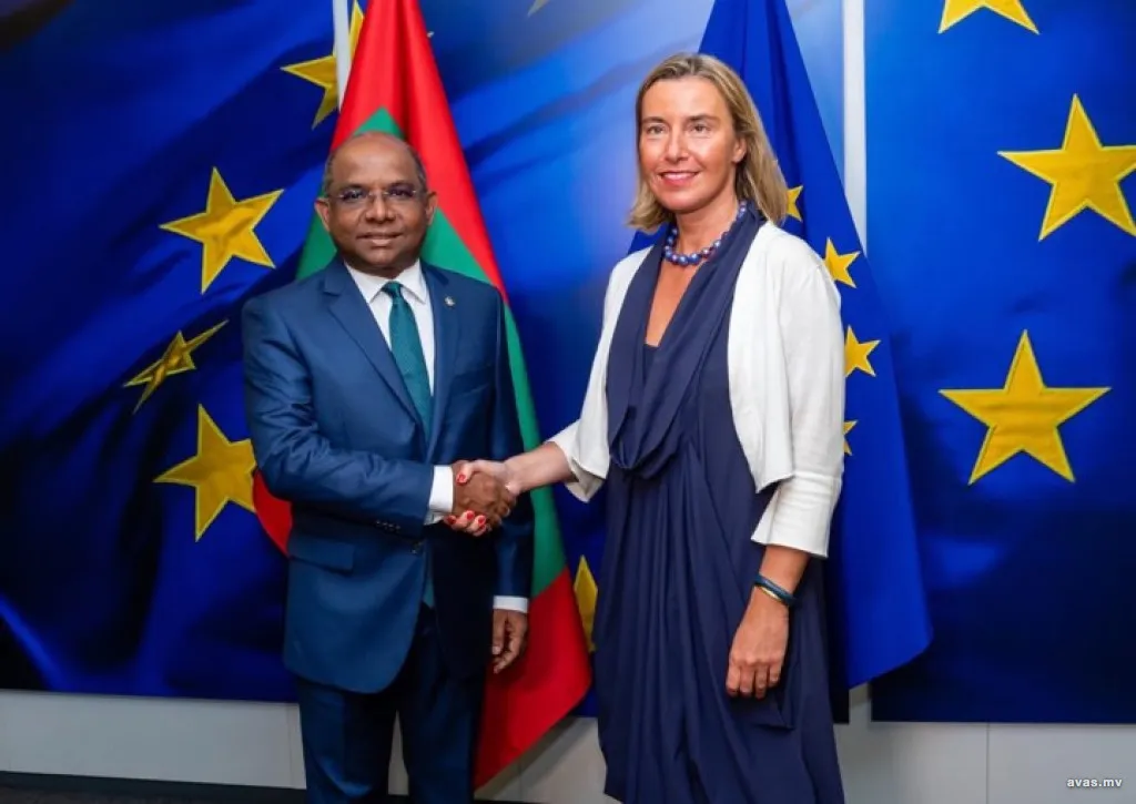 Foreign Minister meets High Representative of EU previously