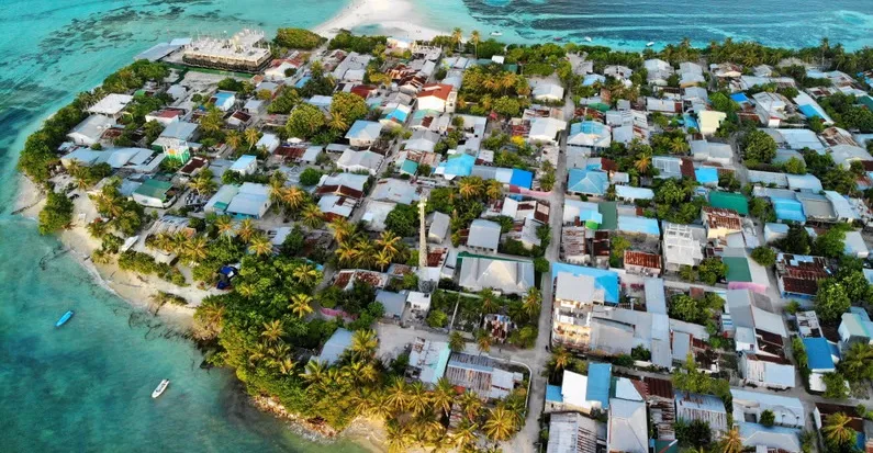 ގުރައިދޫގައި ނިޔާވި ތުއްތު ކުއްޖާގެ ޕޯސްޓްމޯޓަމް ހަދައިފި