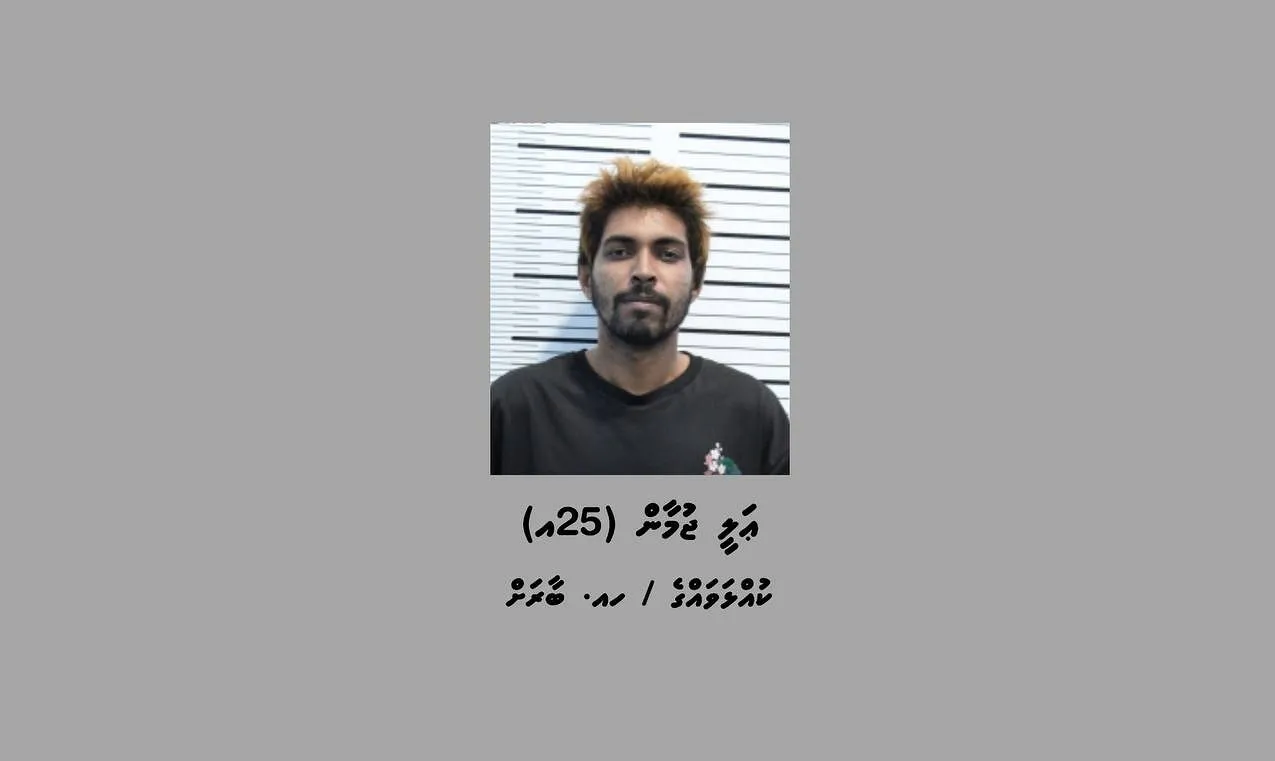 ތަންތަނުގައި ހުޅުޖަހާ ފިހާރައެއް ލޫޓުވަން ގޮވާލި އެމްޑީޕީގެ އެކްޓިވިސްޓު ޑެތު ހައްޔަރުކޮށްފި