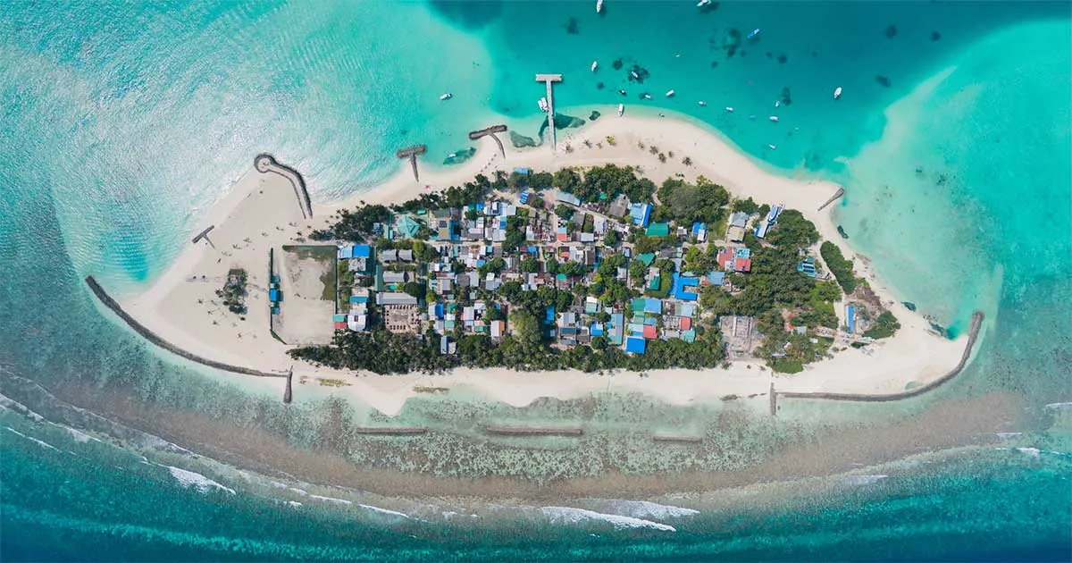އޮޔާދިޔަ ކުޑަ ދެ ކުއްޖަކު ސަލާމަތް ކުރަން އުޅުނު ދިވެއްސަކު ނިޔާވެއްޖެ