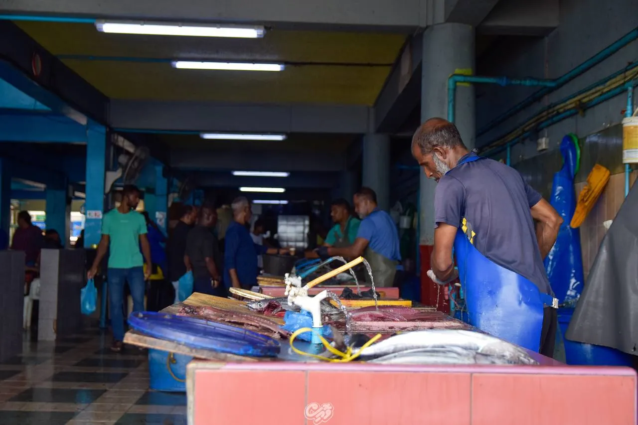 މަސްވެރިންނަށް ދައްކަންޖެހޭ ފައިސާ މާދަމާ ދޫކުރާނެ: މިފްކޯ