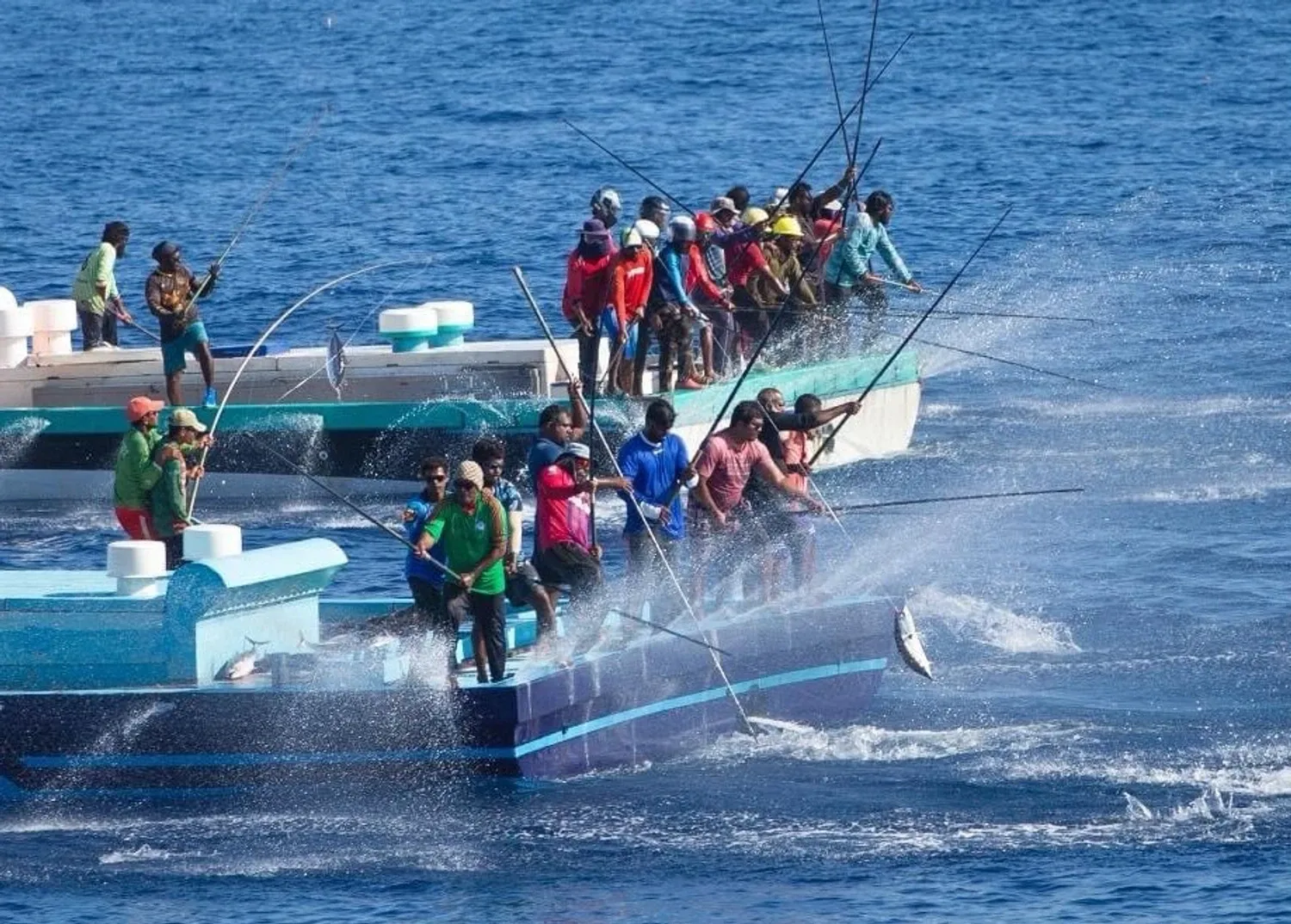 ދިވެހި މަހުގެ އުފެއްދުންތަކަށް އިތުރު ބާޒާރުތައް ހޯދުމުގެ މަސައްކަތް ކުންފުނިންދަނީ މަސައްކަތް ކުރަމުން: އެމްޑީ