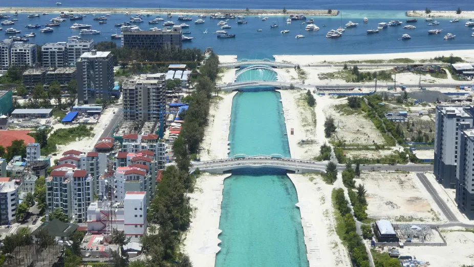 ފެތުރީ ދޮގެއް، ކުނިވަސް ދުވީ މަރުވެފައި އޮތް ބުޅަލަކުން