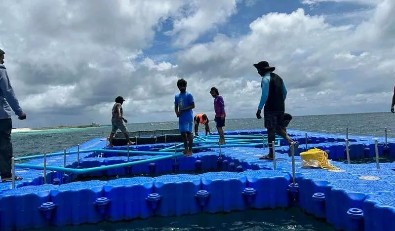 ފަރުމަސް އާލާކުރުމާއި ގުޅޭ ޕްރޮގްރާމްގައި ބައިވެރިވުމަށް ހުޅުވާލައިފި