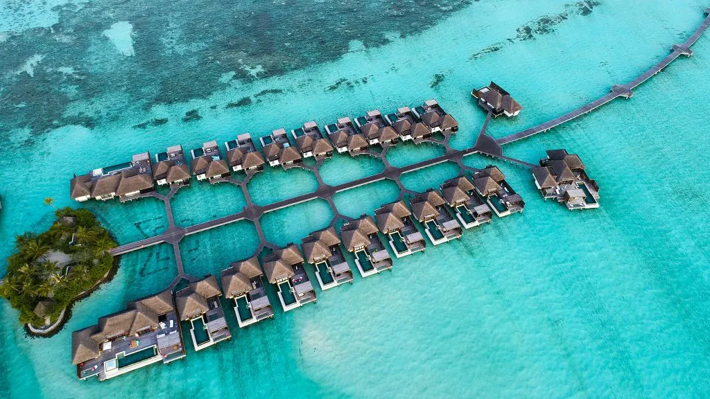 4 ސީޒަންސް ކުޑަ ހުރާ؛ ފޮޓޯ / ކީވީ