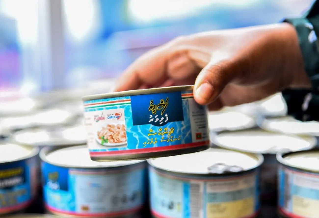 ރޯދަމަހަށް ހިލޭ ބަހާ މަސްދަޅުތަކުން 40 ގްރާމް މަސް އުނިނުވާނެ: މިފްކޯ