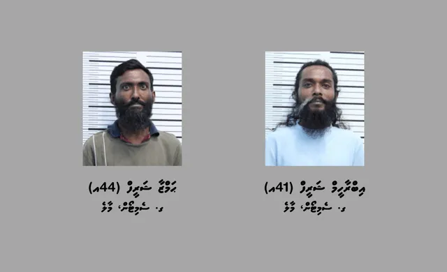 މަސްތުވާތަކެތި ބޭނުންކޮށް ވިޔަފާރިކުރާ ކަމަށް ތުހުމަތުކުރެވޭ ދެބެއިން މާލެއިން ހައްޔަރުކޮށްފި