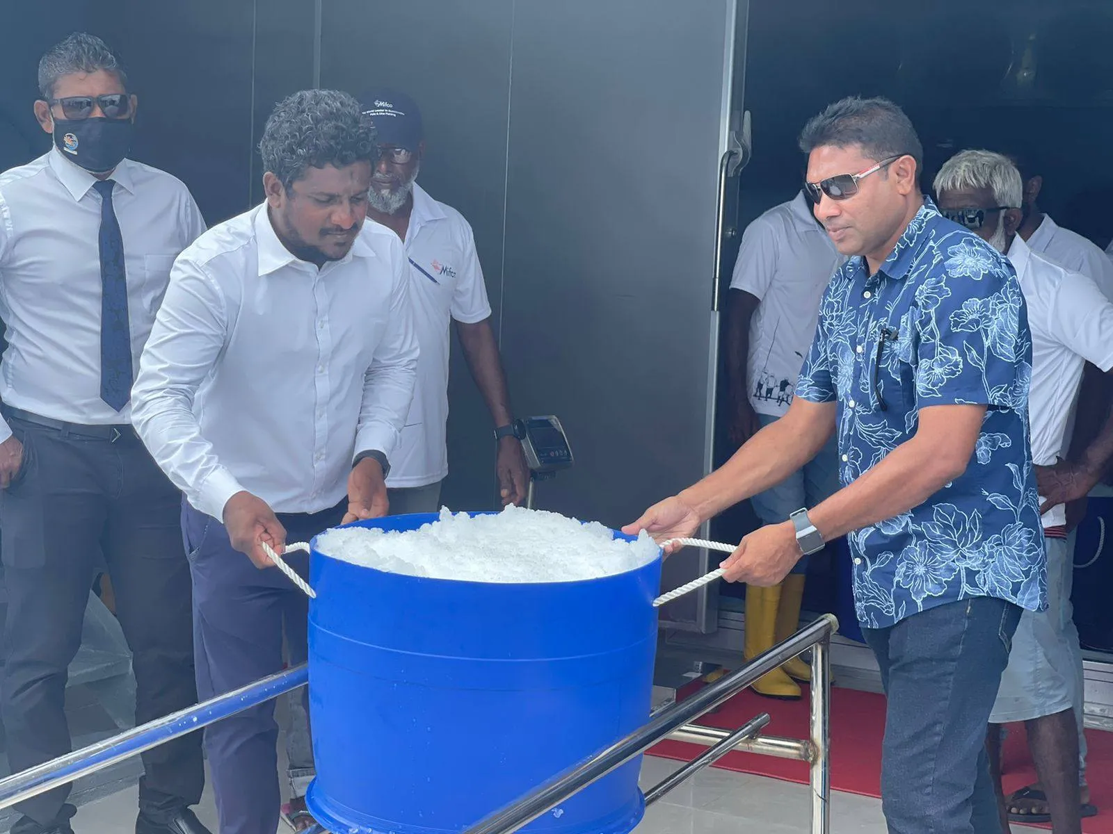 މިފްކޯއިން ހިލޭ އައިސް ދެނީ