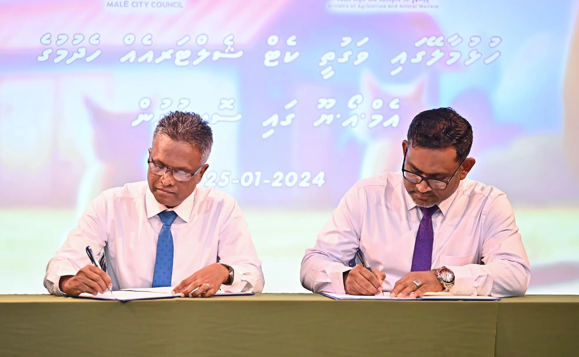 ހުޅުމާލޭގައި ވަގުތީ ކެޓް ޝެލްޓަރ އެއް ހަދަނީ
