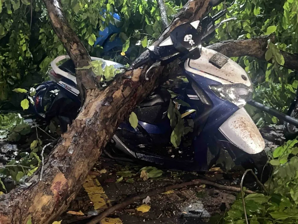 ގަދަ ވަޔާއެކު ޕާކިންޒޯނަކަށް ގޮފިތަކެއް ވެރި ސައިކަލުތަކަކަށް ގެއްލުން ވެއްޖެ
