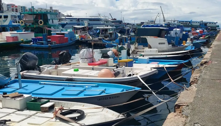 މަސްމާރުކޭޓާ ހިސާބަށް ނޯތް ހާބަރު ބޮޑުކުރަން ނިންމައިފި