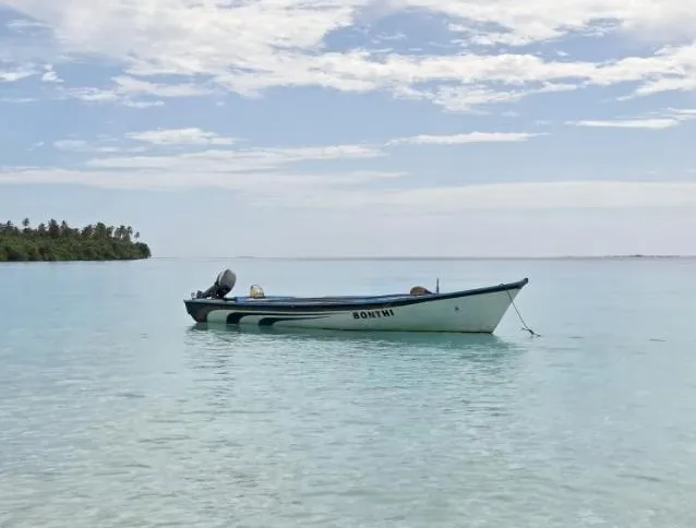 ޑިންގީ ފެނިއްޖެ. ޒަކަރިއްޔާ އަދިވެސް ނުފެނޭ