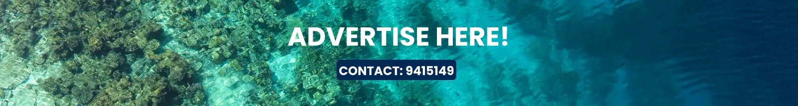 Advertise 1