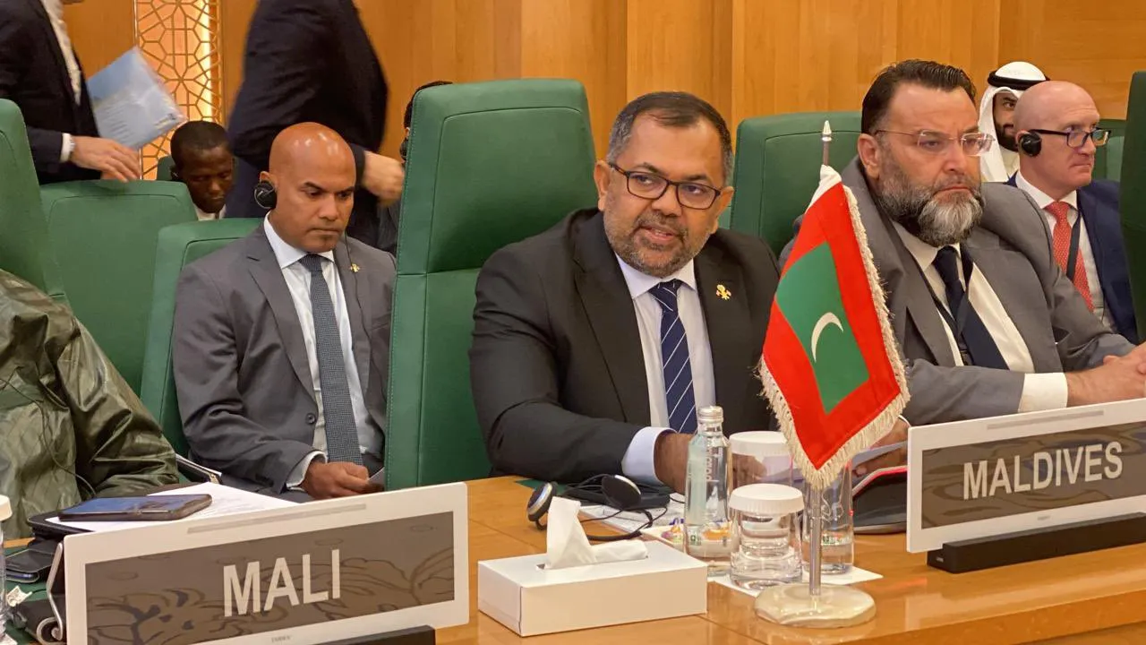 Minister Zameer giving his address at OIC meeting (Photo/ Minister Zameer via X)