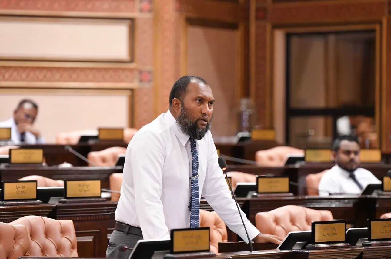 ފެނިގެން މިދަނީ، ފަންނުވެރިންނާއި ފިކުރުވެރިންގެ ބެލެނިވެރިކަން ސަރުކާރުން ނެގި މަންޒަރު: އިބްރާހީމް މުހައްމަދު