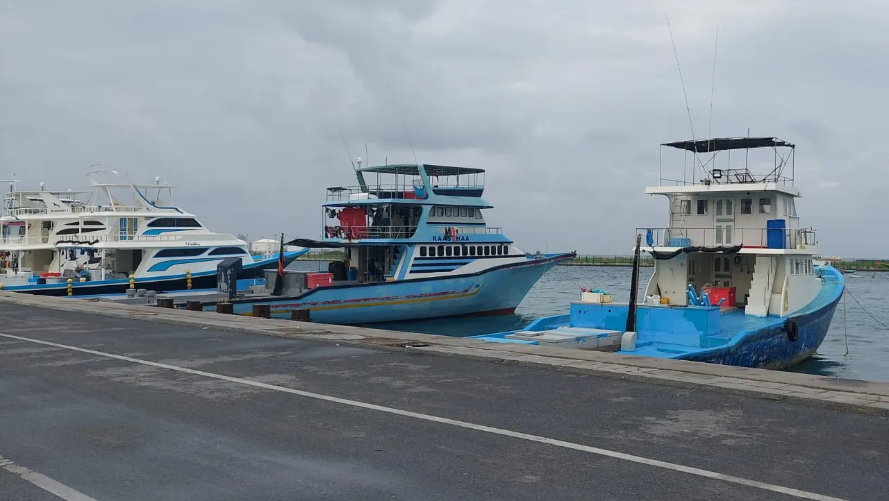 ހުޅުމާލޭ ފަޅުތެރޭގައި އިއްޔެ ނިޔާވެފައި އޮއްވާ ފެނުނީ، މަސްދޯންޏެއްގެ މީހެއް