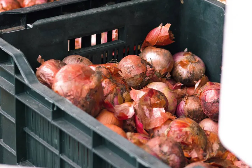 STO Reduces Prices of Onions and Potatoes During Ramadan