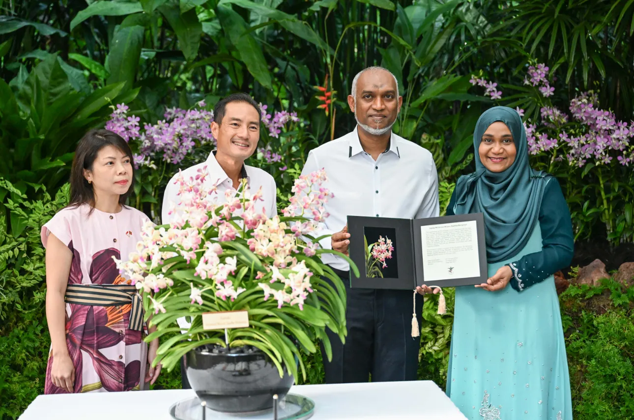 ރައީސް މުޢިއްޒުގެ ދެކަނބަލުންގެ ނަންފުޅަށް ނިސްބަތްކޮށް ސިންގަޕޫރުގައި އޯކިޑް ގަހަކަށް ނަން ދީފި