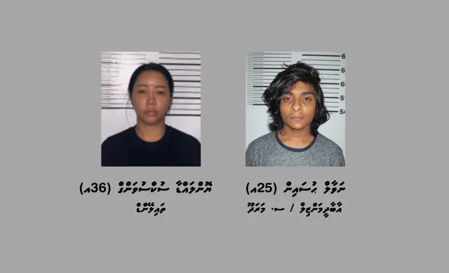 ހަށިވިއްކާ ކަމަށް ތުހުމަތު ކުރެވި ދެމީހަކު ހައްޔަރުކޮށްފި