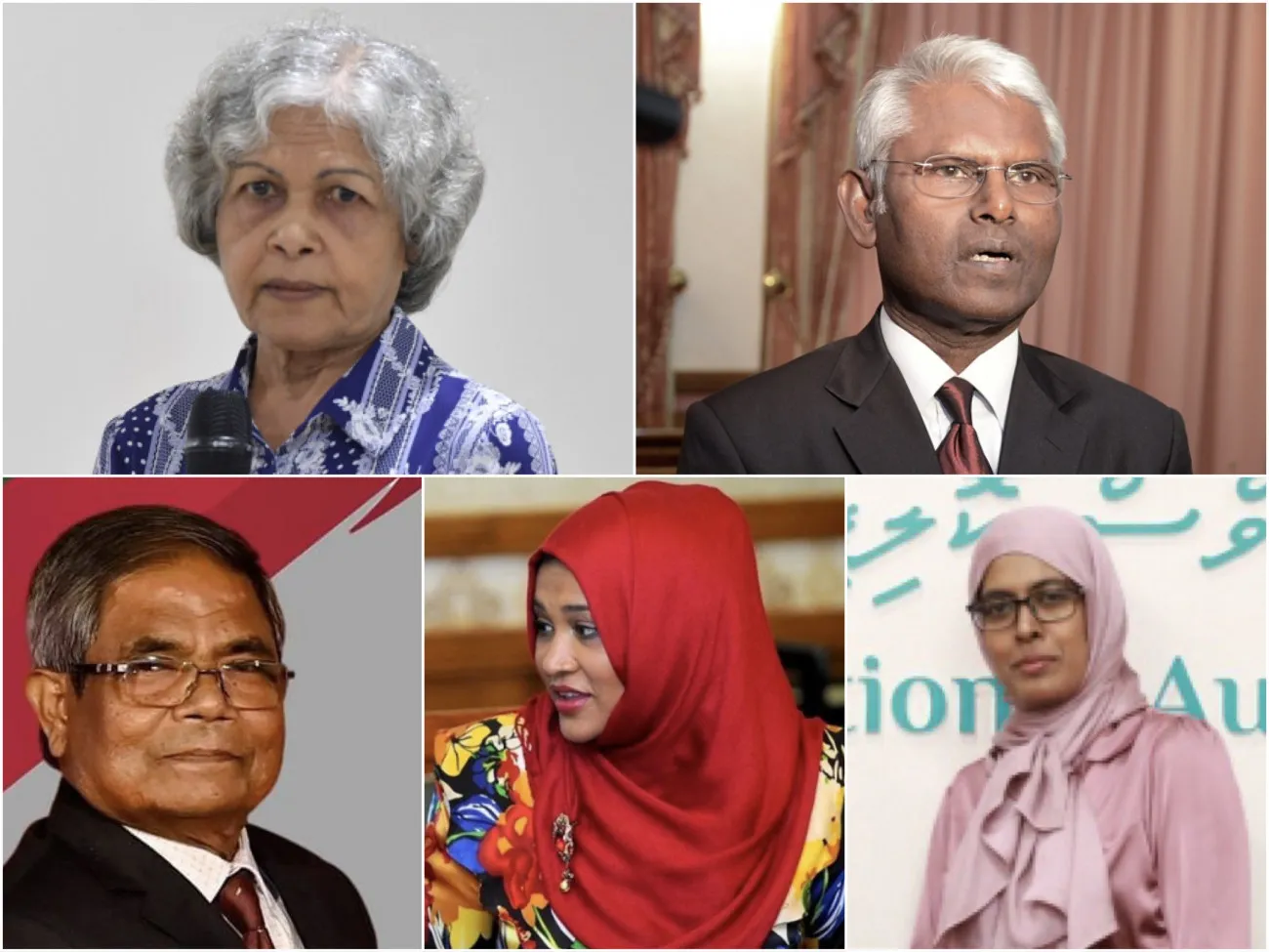 ގެދޮރުވެރިޔާ އަދި ބިންވެރިޔާ ސްކީމާ ގުޅޭ ލަފާދޭ ހައުސިން ކޮމެޓީ އުފައްދައިފި، ޗެއަރ އަކަށް އަނީސާ