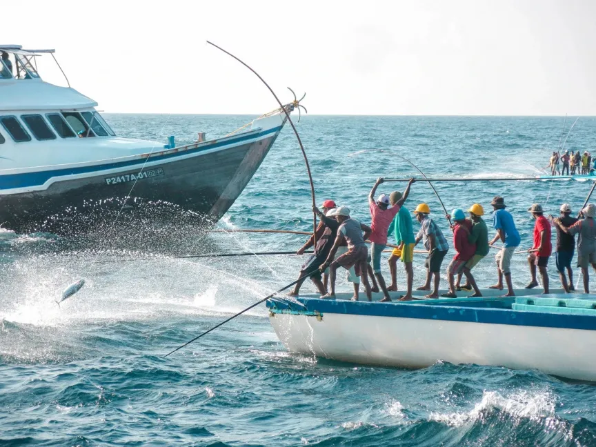 MIFCO Pays Over MVR 210 Million to Fishermen in First Half of 2026
