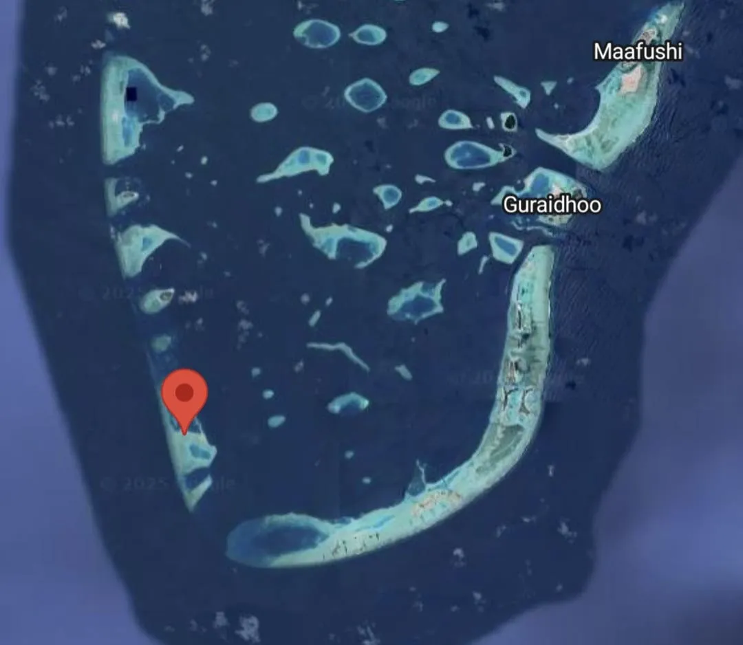 ޑިންގީއެއް ބަންޑުން ޖަހާލާ ބަޔަކު ކަނޑުވެއްޖެ